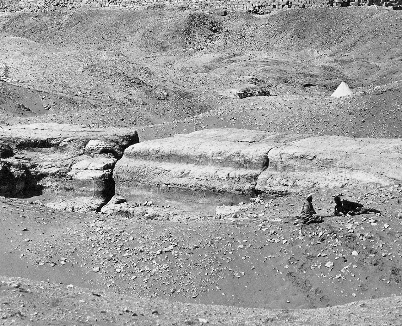 A detail from an early photograph of the Great Sphinx showing the structure of the limestone forming its leonine body.