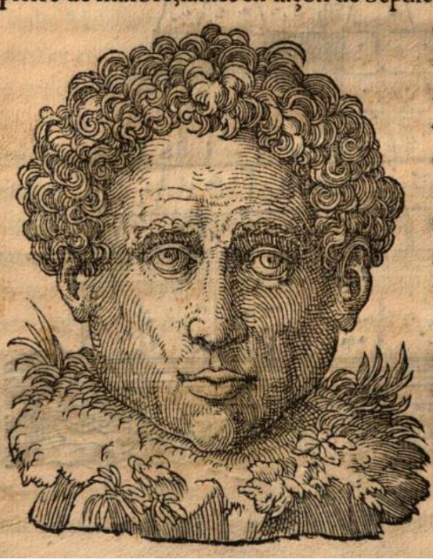 Image: The Great Sphinx illustrated as a male Greco-Roman bust